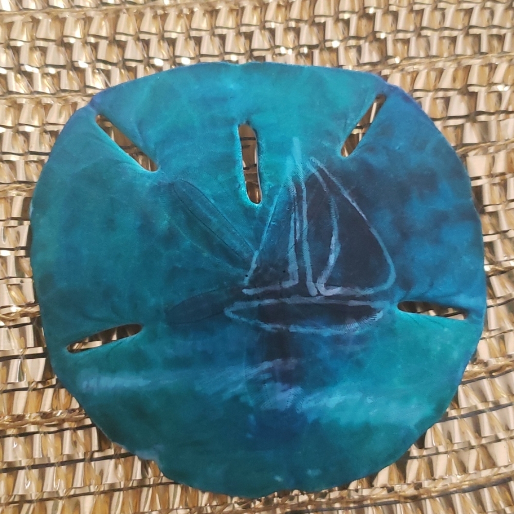 Painted sand dollar